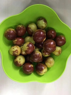 哪里的冬棗最好?山東沾化、河北黃驊、陜西大荔,還是山西、新疆江西或其他地方?