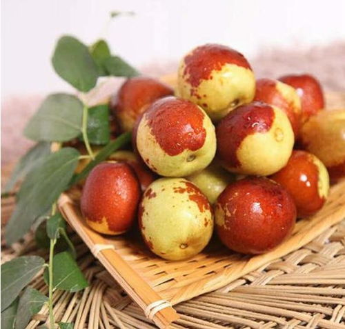 滄州黃驊美食推薦,蝦醬和毛蚶哪個(gè)最能代表黃驊美食