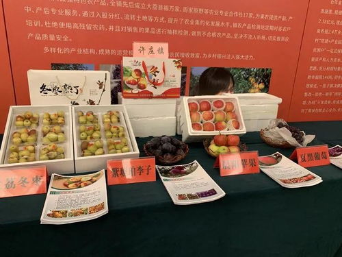 大荔冬棗進(jìn)軍上海市場(chǎng) 簽訂農(nóng)產(chǎn)品購(gòu)銷協(xié)議5.3萬(wàn)噸