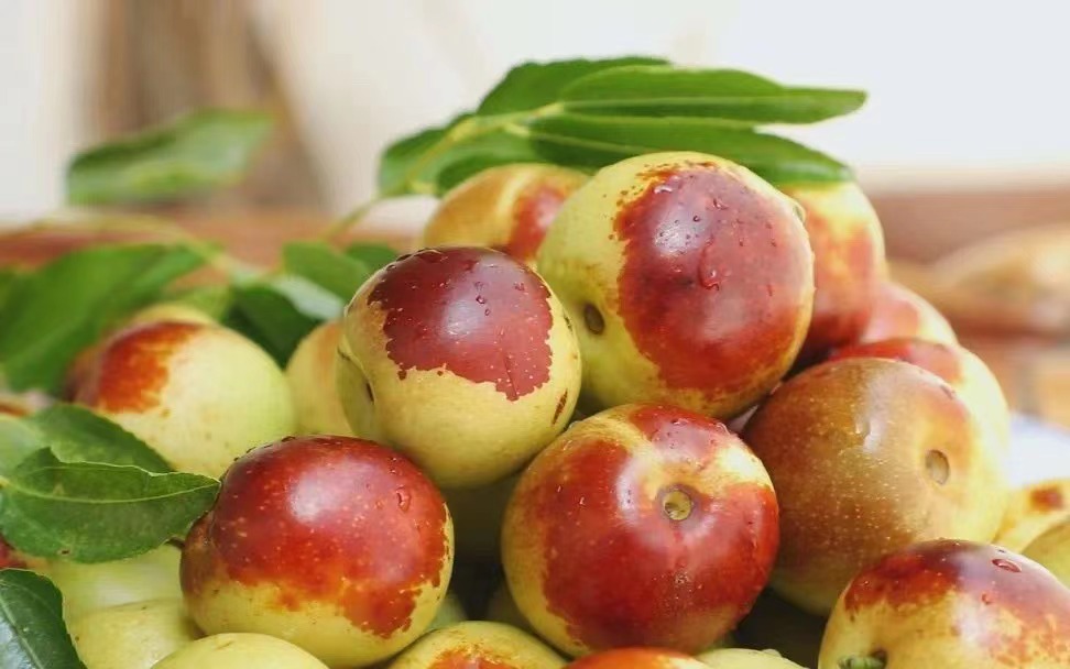 明明是“冬棗”,為什么現(xiàn)在是最佳賞味期?